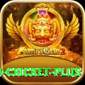 afghanistan cricket Slot Machine VIP