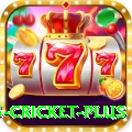 bet365 cricket Max Casino App