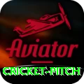 cricket pitch Slots Prime v3.4.9