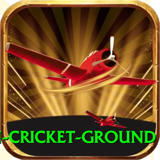 edgbaston cricket ground Pakistan VIP v3.2.8 - 2