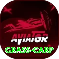 grass carp Royal Gaming App