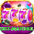 india upcoming cricket matches - Premium Earning App