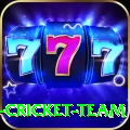 ireland cricket team PK Ultimate