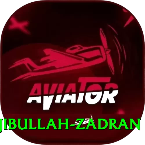 najibullah zadran Live King - 2