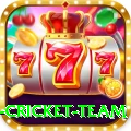 new zealand cricket team App Super v2.1.1