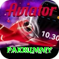 pakrummy Prime Gaming App