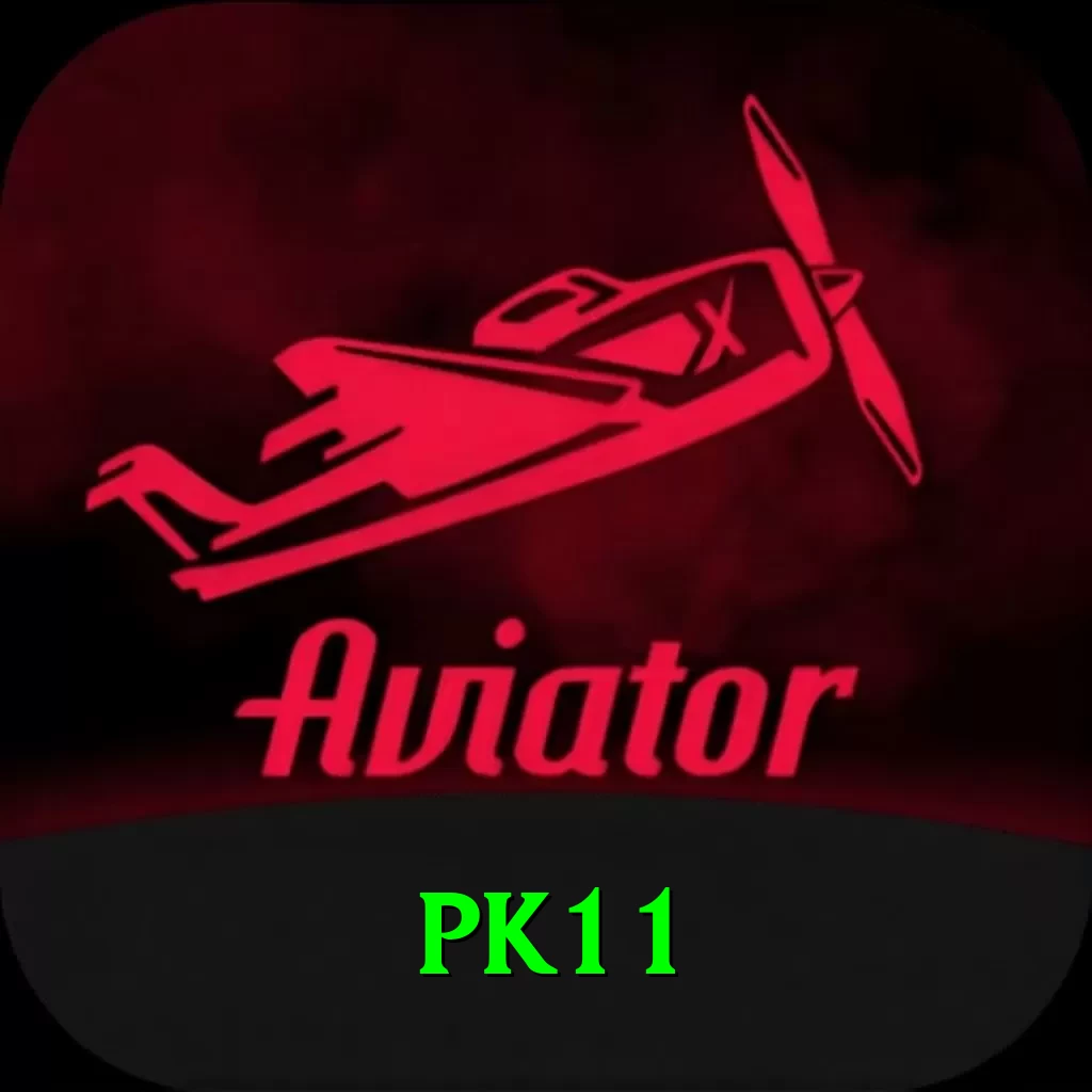 pk11 Plus Edition v4.5.1 - 2