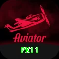 pk11 Plus Edition v4.5.1