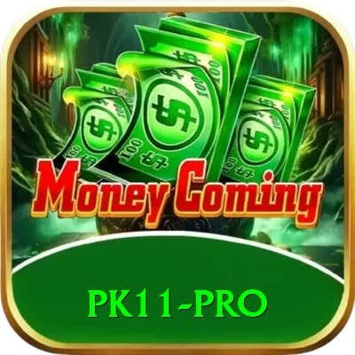 pk11 Deluxe Casino App - 2