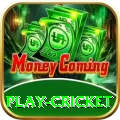 play cricket Prime - Daily Bonus