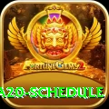 sa20 schedule - VIP King
