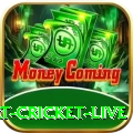 smart cricket live Ultimate New