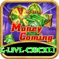 smartcric live cricket Deluxe New