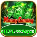 steve waugh Max v5.9.6
