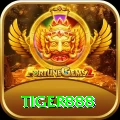 tiger888 Money Plus v3.4.2