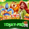 tojay Super v4.4.4