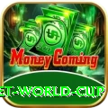 under 19 cricket world cup APK Pro v2.2.5