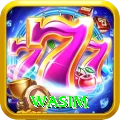 wasim Pakistan Champion v3.6.1