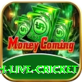 watch live cricket Pakistan Royal v4.0.0