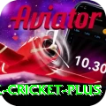 zimbabwe cricket Slots Champion v5.3.8